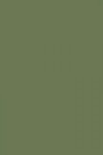 FARROW AND BALL CALKE GREEN NO. 34 PAINT
